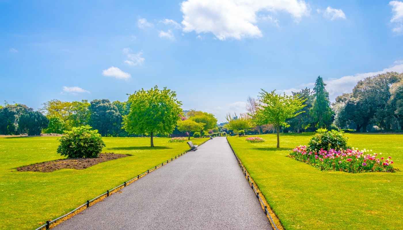 Tree lined avenue in Phoenix Park, one of Europe's largest city parks