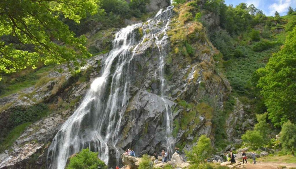 Powerscourt Waterfall flowing through woodland in County Wicklow